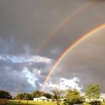 Southern Equine Veterinary Services