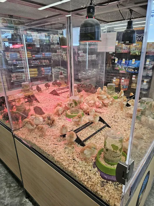 Petco Picture 2