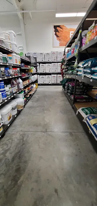 Petco Picture 4