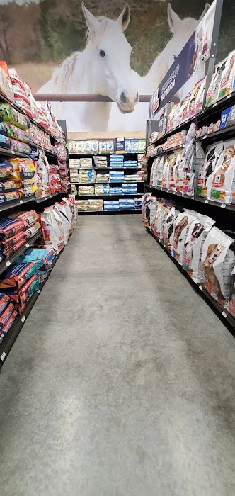 Petco Picture 9