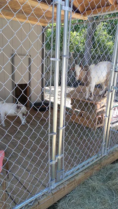 Animal Clinic of Glasgow Picture 5