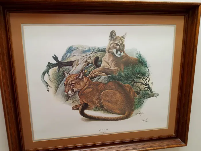 Veterinary Medical Center Picture 3
