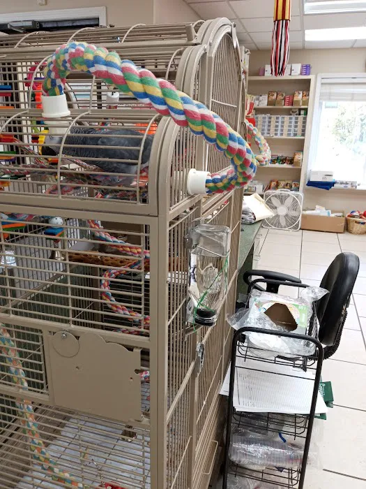 Veterinary Medical Center Picture 9