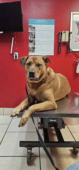 Veterinary Medical Center Picture 2