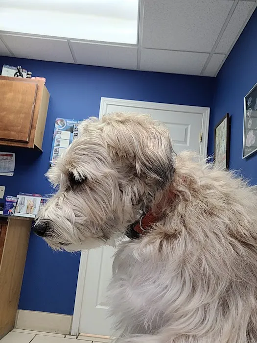 Veterinary Medical Center Picture 8