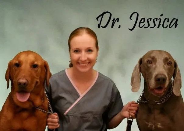 St Francis Pet Hospital - Centerton Picture 6