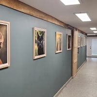 St Francis Pet Hospital - Centerton ico