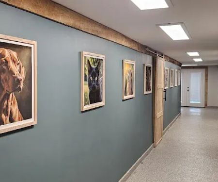 St Francis Pet Hospital - Centerton