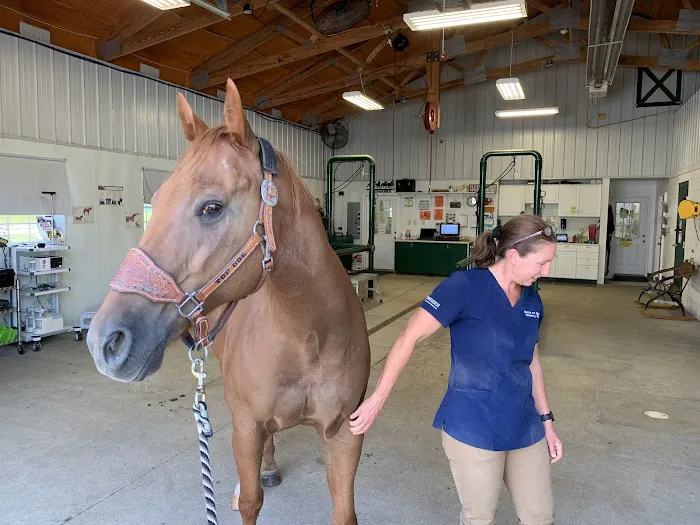 Horse & Hound Veterinary Clinic Picture 9