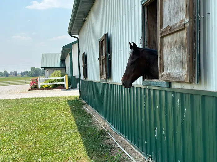 Horse & Hound Veterinary Clinic Picture 2