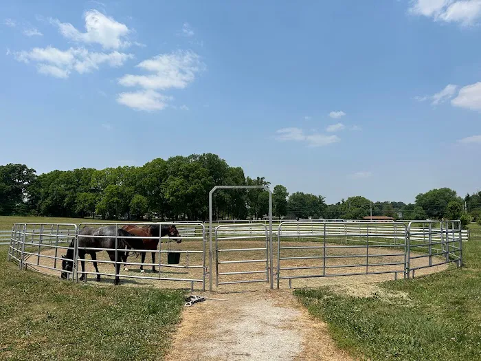Horse & Hound Veterinary Clinic Picture 1