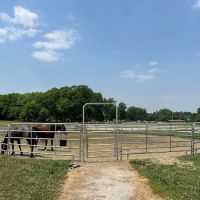 Horse & Hound Veterinary Clinic ico