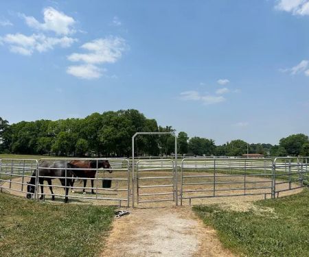 Horse & Hound Veterinary Clinic