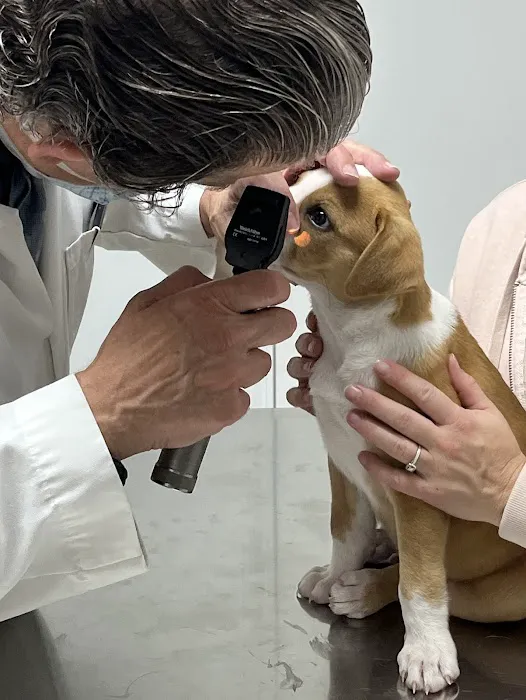 Associated Animal Clinic of Indiana Inc - Larry Reyman,DVM Picture 1