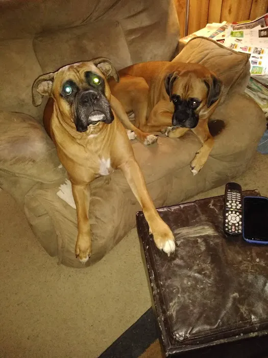 Mooresville Animal Hospital Picture 4