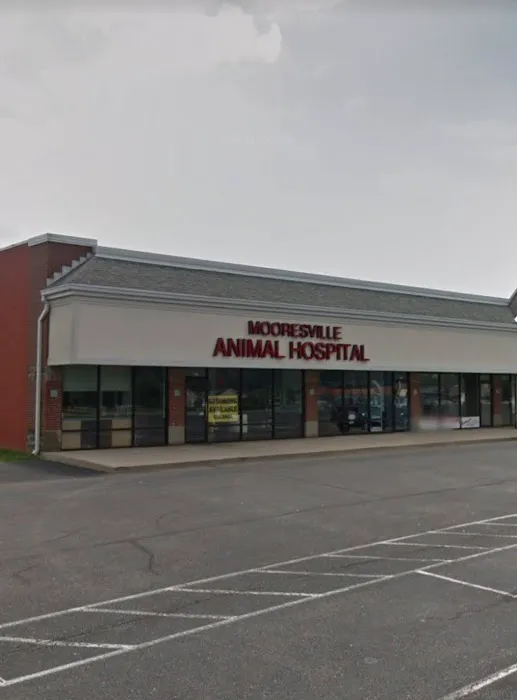 Mooresville Animal Hospital Picture 7