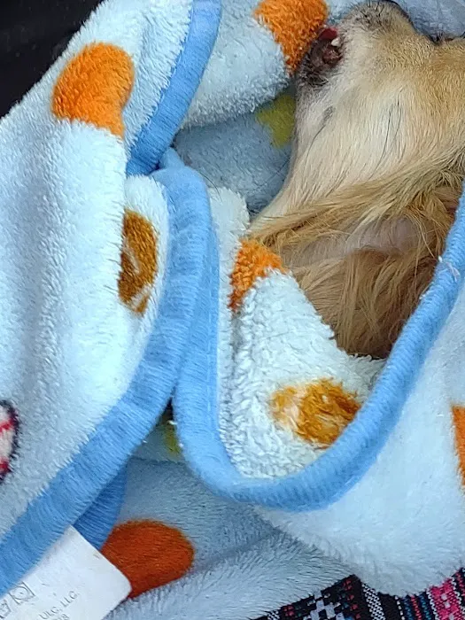 Eminence Animal Hospital Picture 1