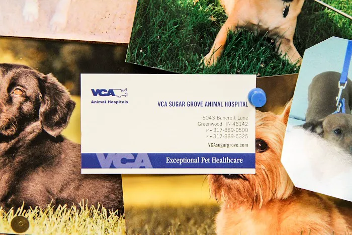 VCA Sugar Grove Animal Hospital Picture 10