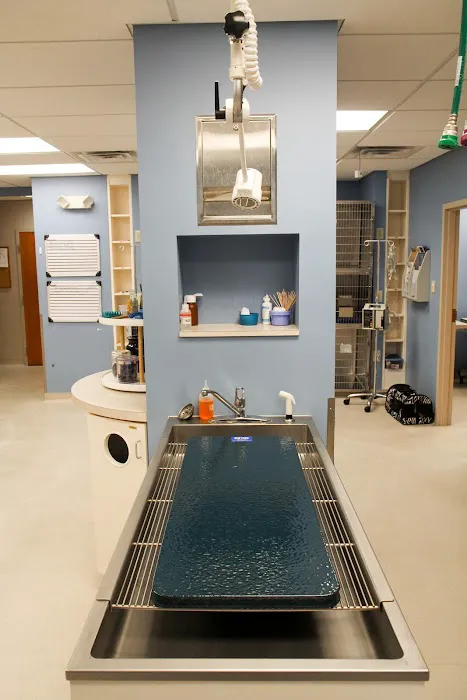 VCA Sugar Grove Animal Hospital Picture 7