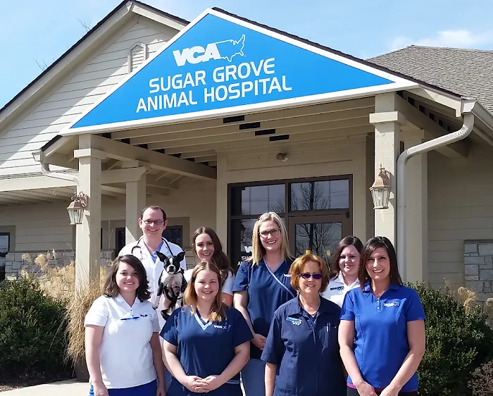 VCA Sugar Grove Animal Hospital Picture 4