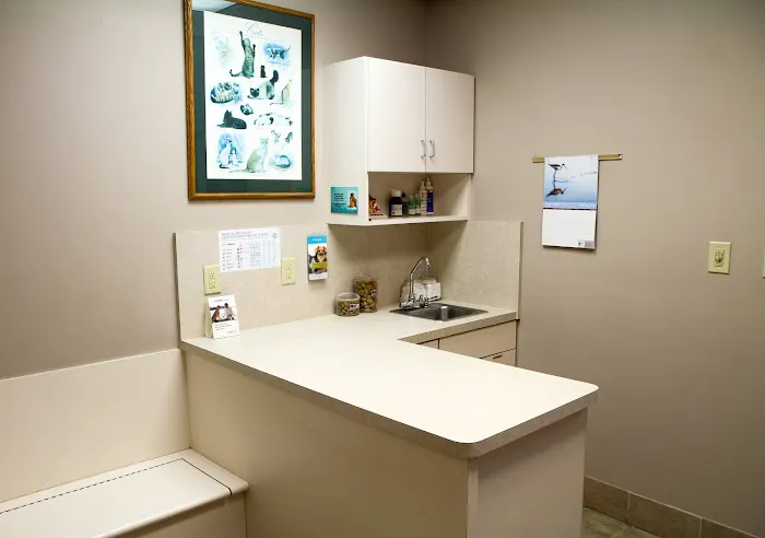 VCA Sugar Grove Animal Hospital Picture 5