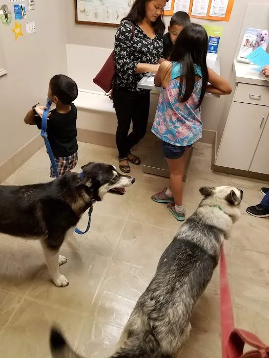 VCA Sugar Grove Animal Hospital Picture 9