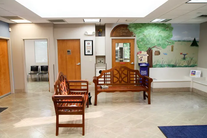 VCA Sugar Grove Animal Hospital Picture 8