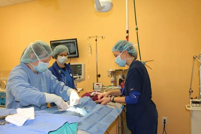 Angel Animal Hospital Picture 5