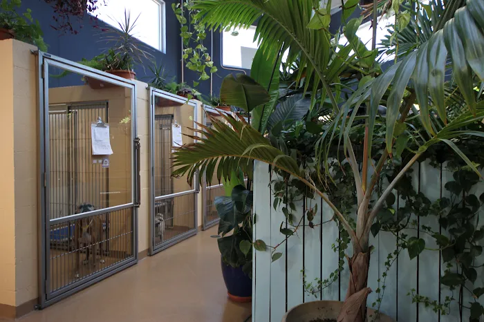 Angel Animal Hospital Picture 10