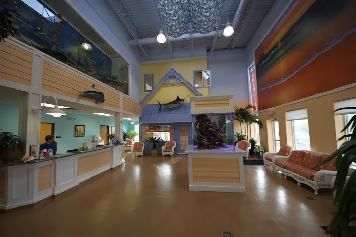 Angel Animal Hospital Picture 4