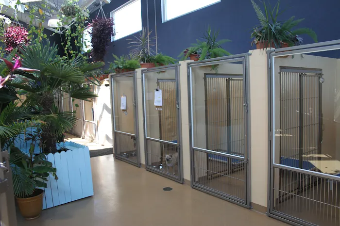 Angel Animal Hospital Picture 7