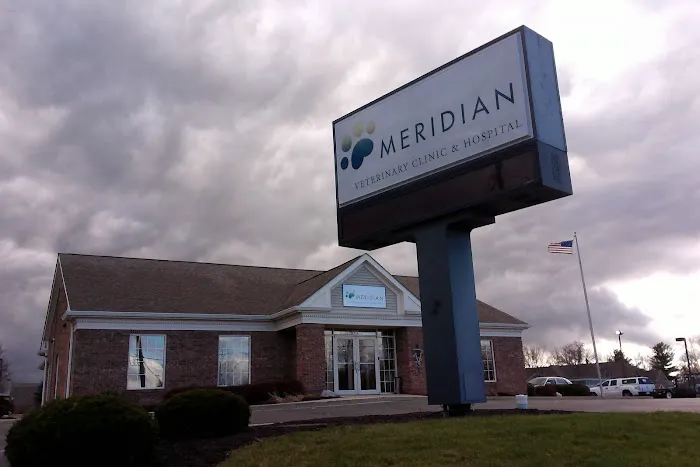 Meridian Veterinary Clinic & Hospital Picture 8