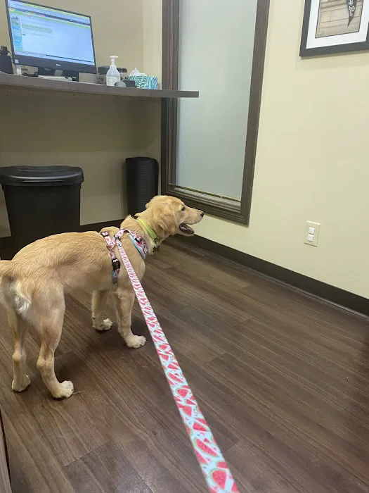 Meridian Veterinary Clinic & Hospital Picture 2
