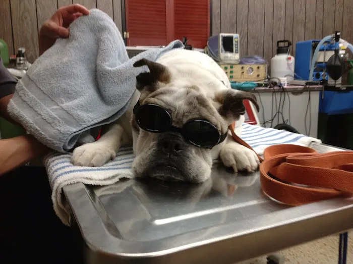 Meridian Veterinary Clinic & Hospital Picture 6