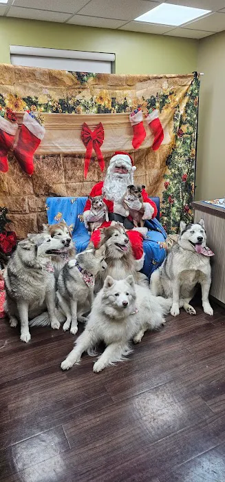 Meridian Veterinary Clinic & Hospital Picture 1