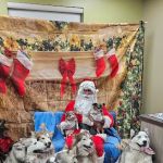Meridian Veterinary Clinic & Hospital