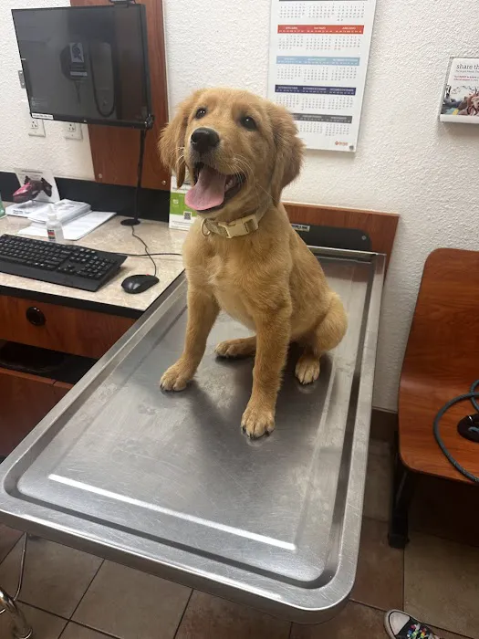 Banfield Pet Hospital Picture 4