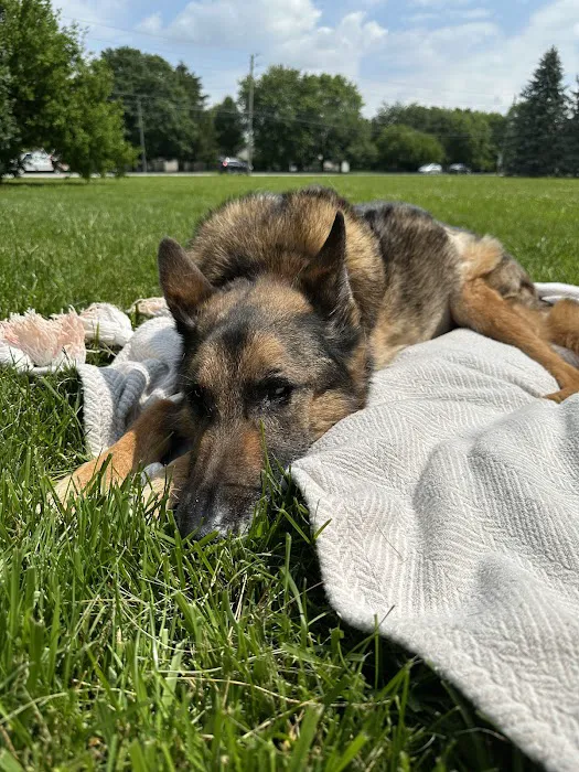 Veterinary Specialty & Emergency Care South - Open 24 Hours Picture 8