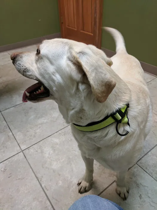 Noah's Stop 11 Animal Hospital Picture 8