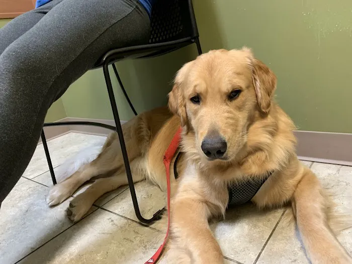 Noah's Stop 11 Animal Hospital Picture 10