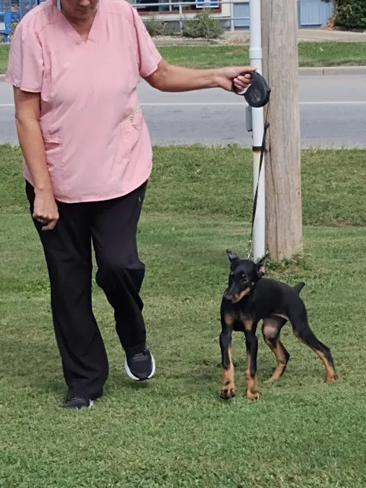 Linton Veterinary Hospital Picture 8