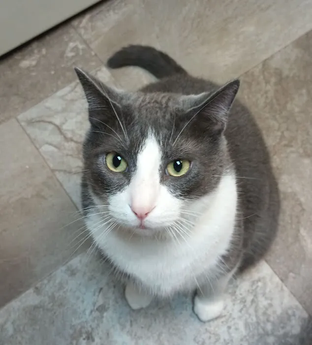 Linton Veterinary Hospital Picture 10
