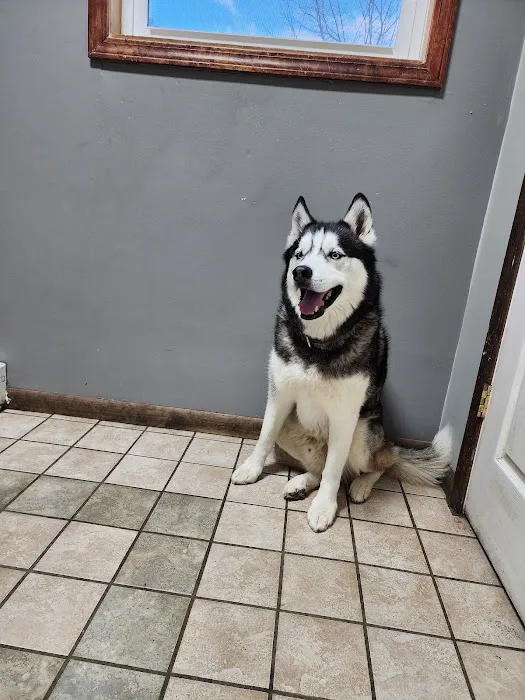Royer Veterinary Services Picture 9