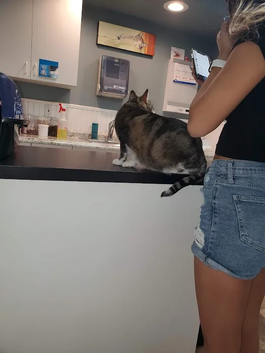 Vincennes Veterinary Clinic Picture 10