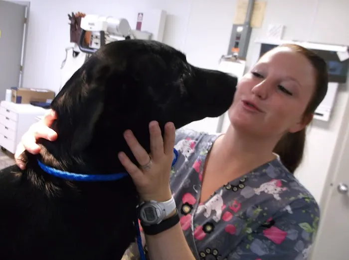Vincennes Veterinary Clinic Picture 8