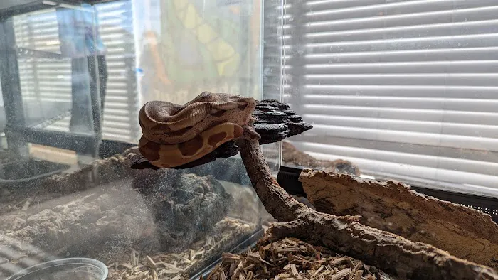 Wabash River Reptiles and Aquatics Picture 1