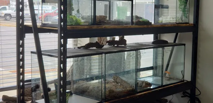 Wabash River Reptiles and Aquatics Picture 3