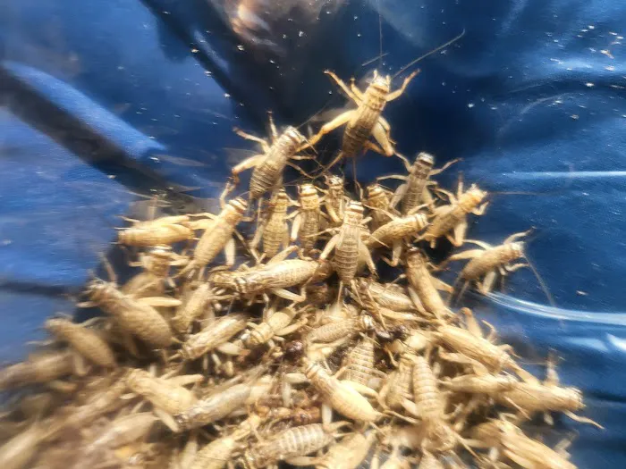 Wabash River Reptiles and Aquatics Picture 2