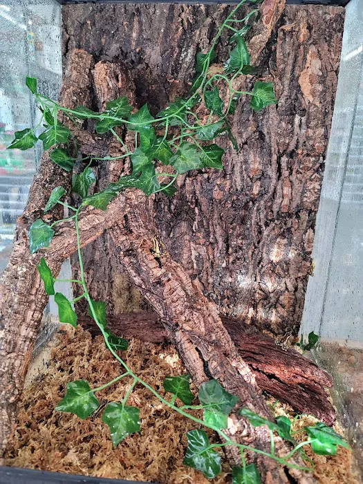 Wabash River Reptiles and Aquatics Picture 9