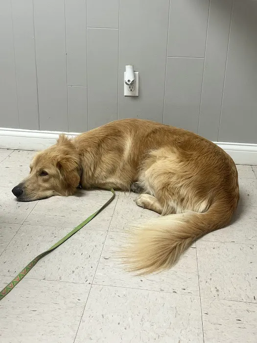 Southgate Veterinary Clinic Picture 3